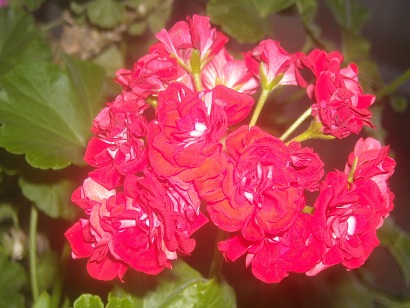 DSCN0928.JPG
