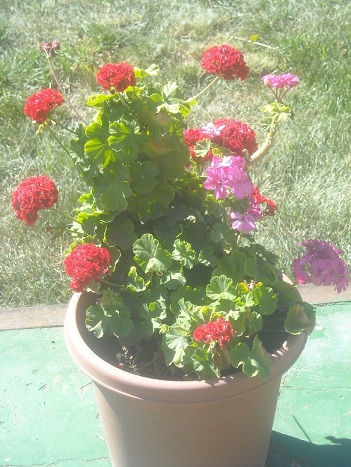 DSCN0630.JPG