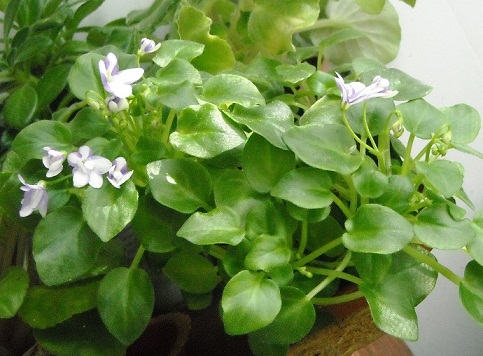 DSCN2190.JPG