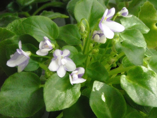 DSCN2191.JPG