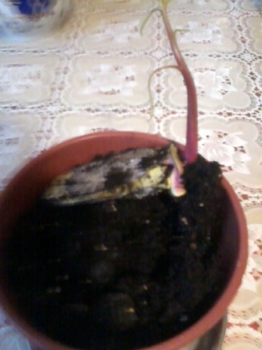 2013-0~4.jpg