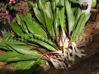 ramps-360.jpg