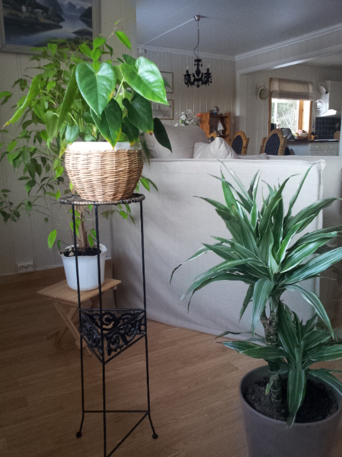 20130407_184729.jpg