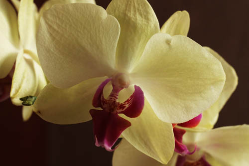 IMG_6641_1.jpg