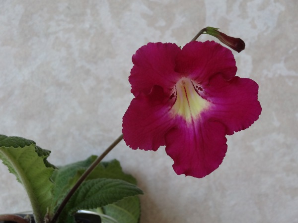 DSC02791.JPG