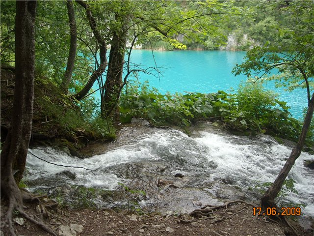9560a3c3e523.jpg