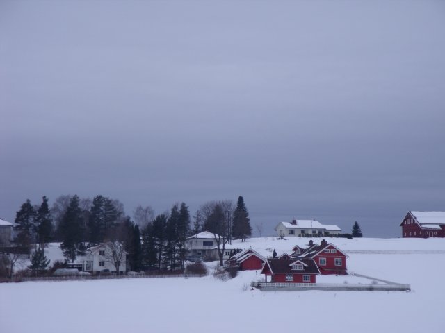 14c7e4018224.jpg
