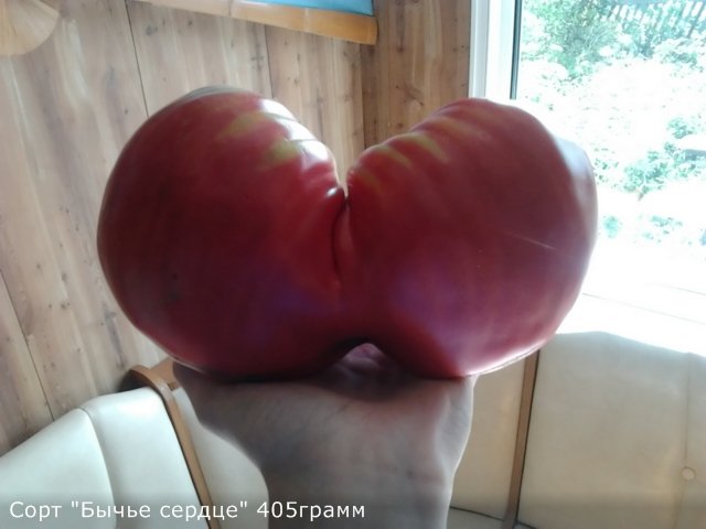 c844079872cb.jpg