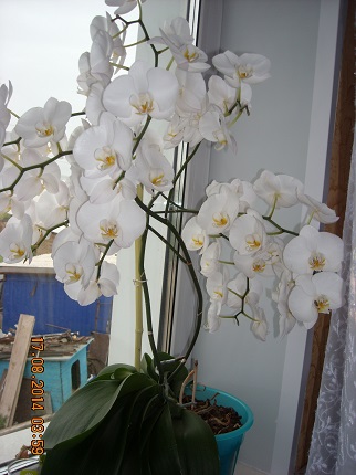 DSCN2314.jpg