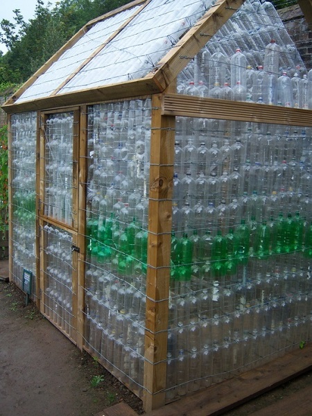 теплица из пластиковых бутылок.jpg