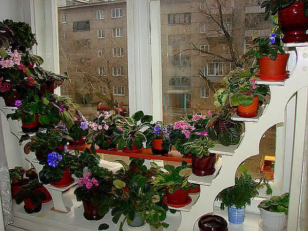 полка для цветов.jpg