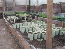 IMG_1048.jpg