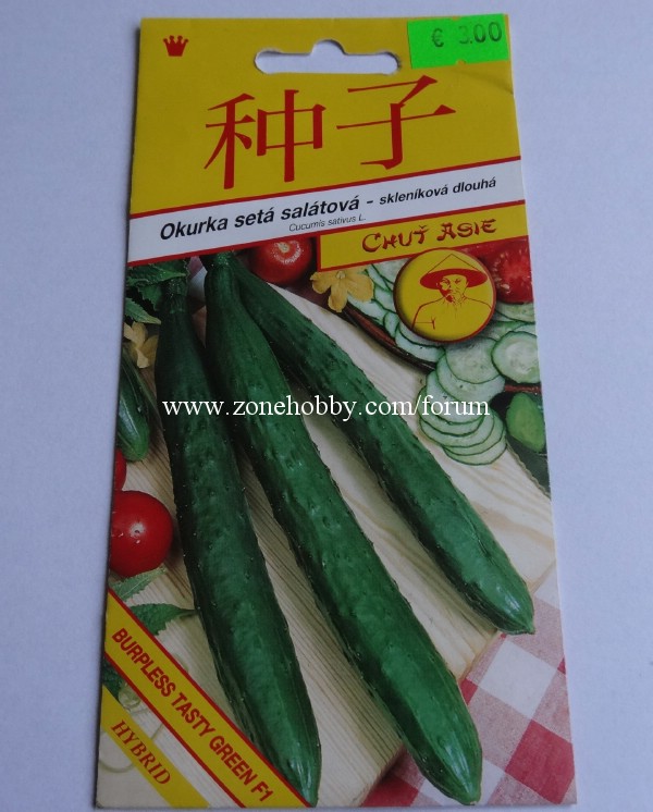 Семена китайского огурца.jpg