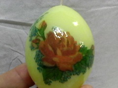 IMG0704A.jpg
