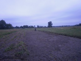 P3010025.JPG