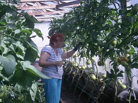 P3020041.JPG
