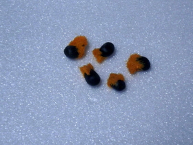 P9270168.JPG