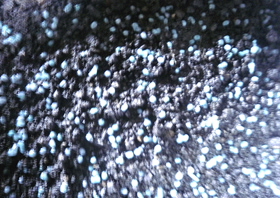 P9280178.JPG