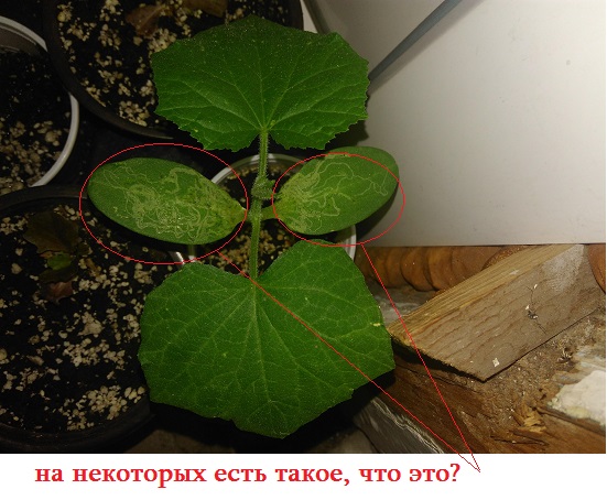 IMG_20180617_222642.jpg