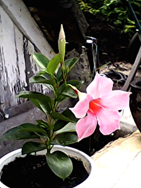 DSC_0000171.jpg