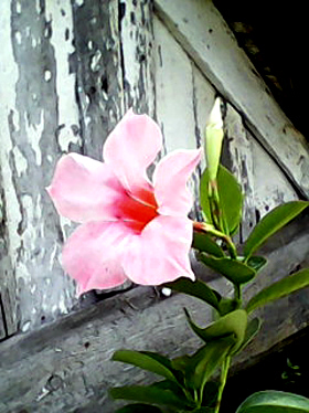 DSC_0000172.jpg