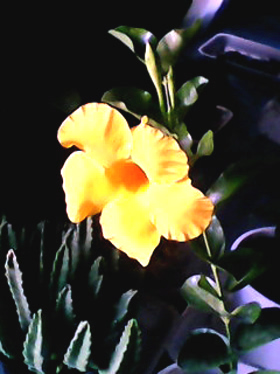 DSC_0000173.jpg