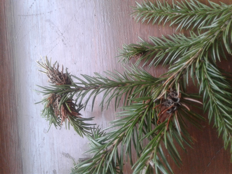 20190109_123749.jpg