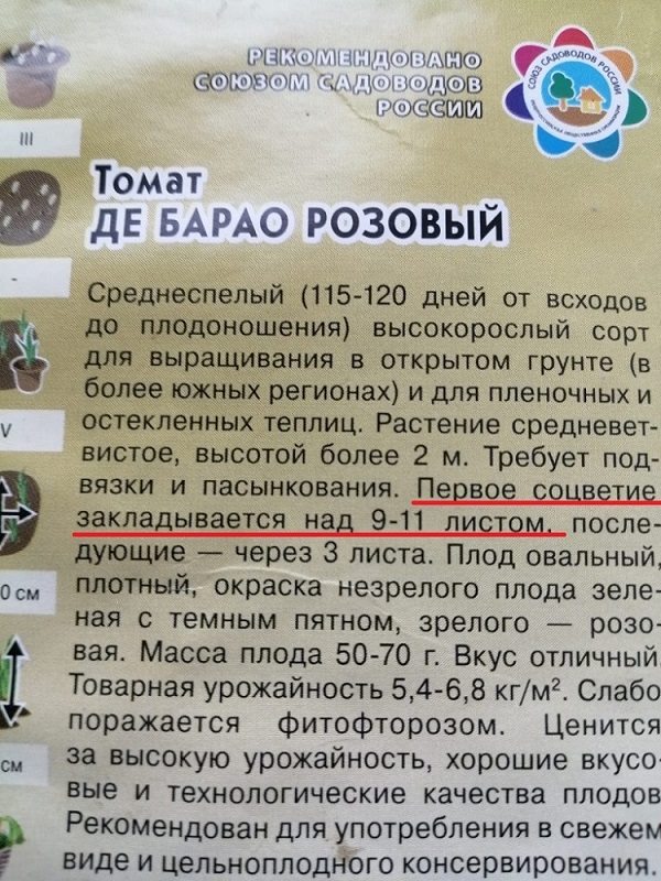 Де бар. роз..jpg