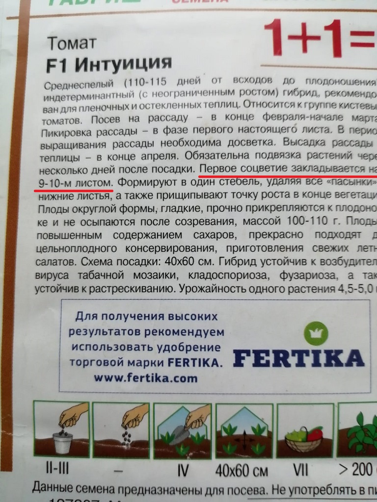 Интуиция.jpg