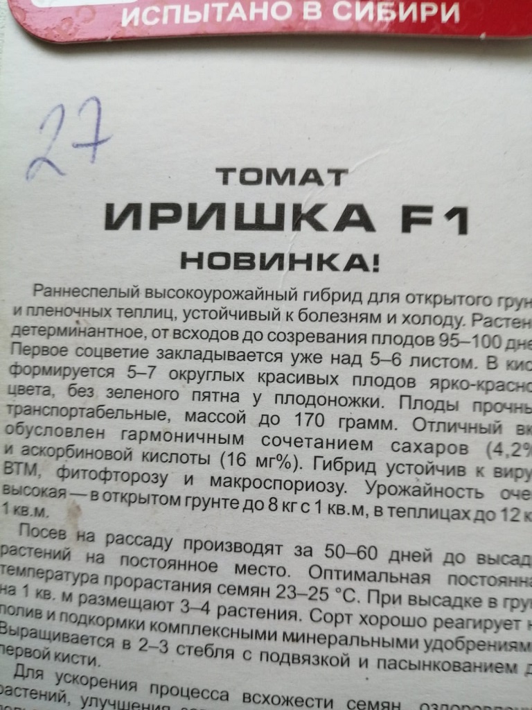 Иришка.jpg
