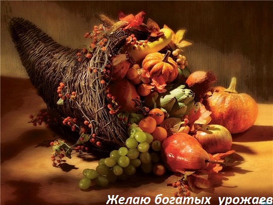 Праздник урожая.jpg