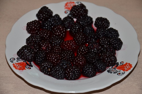 DSC_0144.JPG
