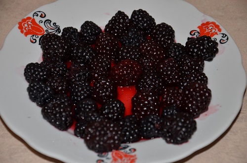 DSC_0145.JPG