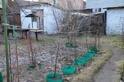 DSC_0205.JPG