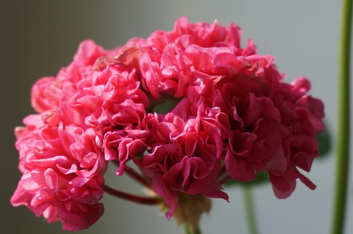 Odensjo symfonia (2).JPG